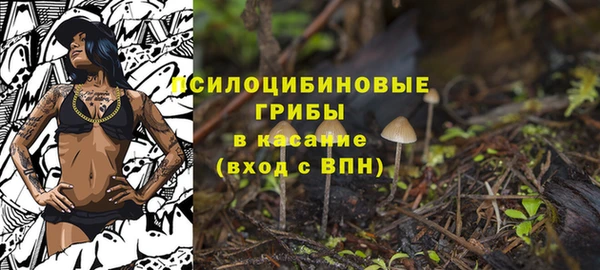 дурь Беломорск