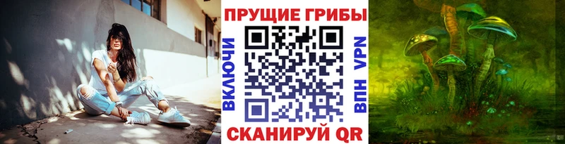 Псилоцибиновые грибы Psilocybe  Реутов 