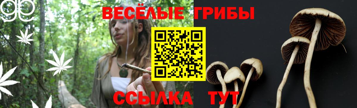 Галлюциногенные грибы Cubensis Реутов